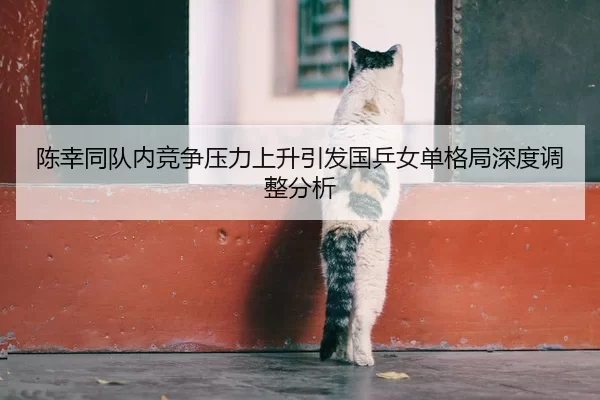 陈幸同队内竞争压力上升引发国乒女单格局深度调整分析