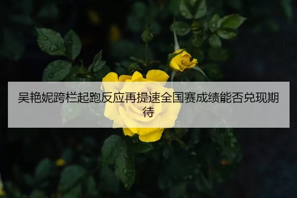 吴艳妮跨栏起跑反应再提速全国赛成绩能否兑现期待