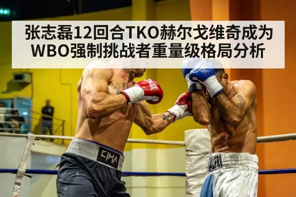 张志磊12回合TKO赫尔戈维奇成为WBO强制挑战者重量级格局分析